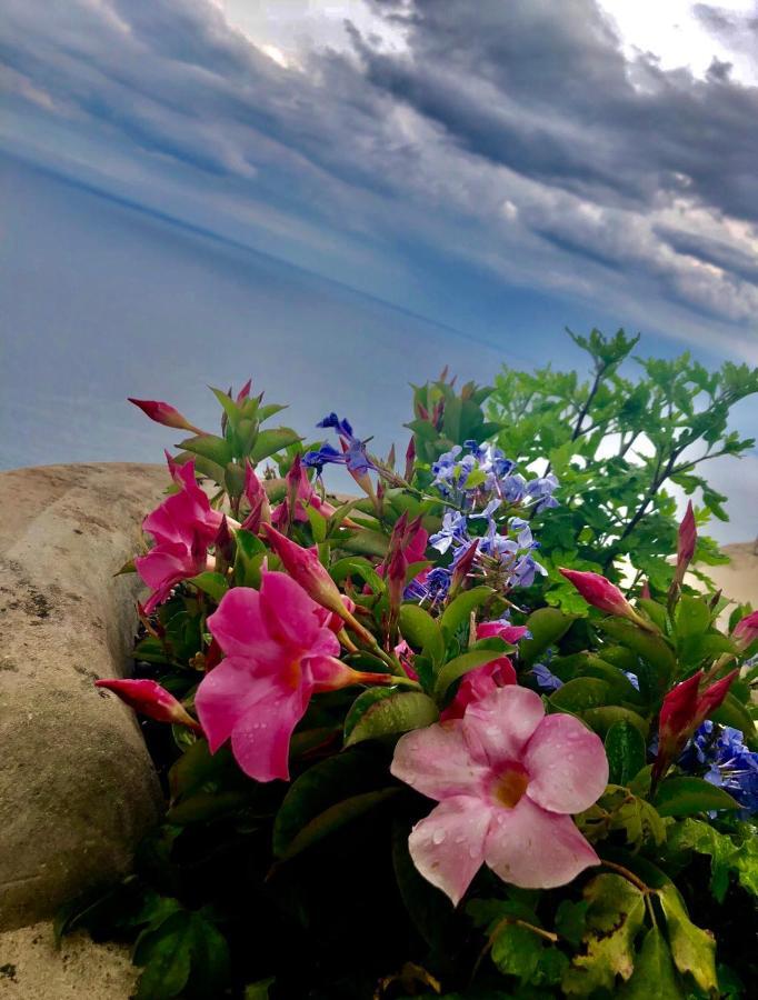 Sky House Amalfi Coast Villa สกาลา ภายนอก รูปภาพ